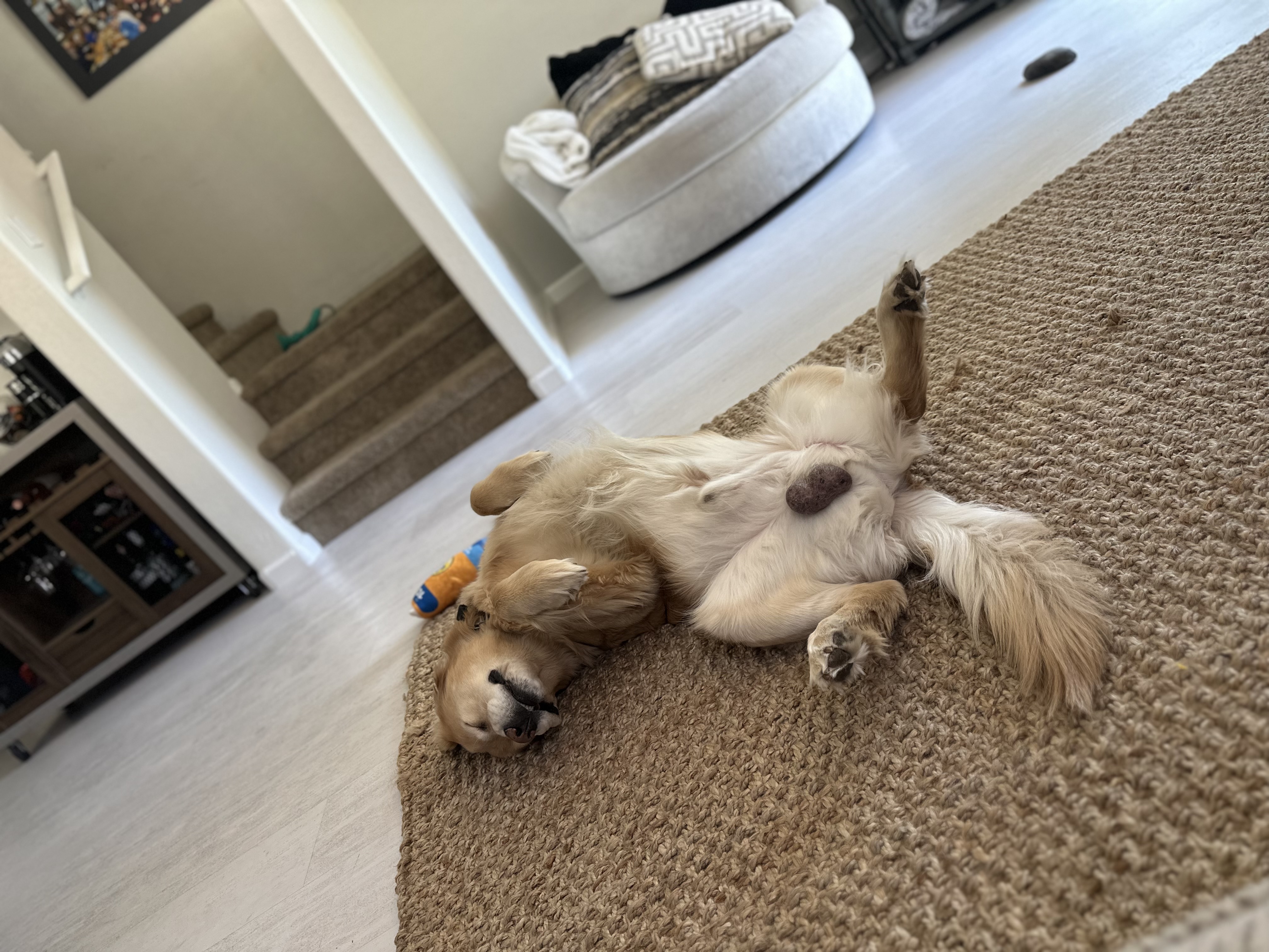 Bentley